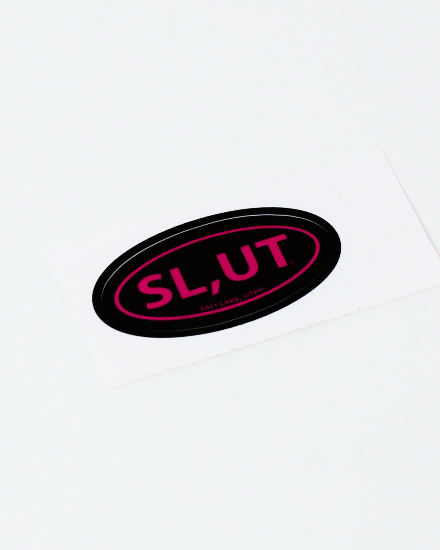 Pink Oval Small Sticker